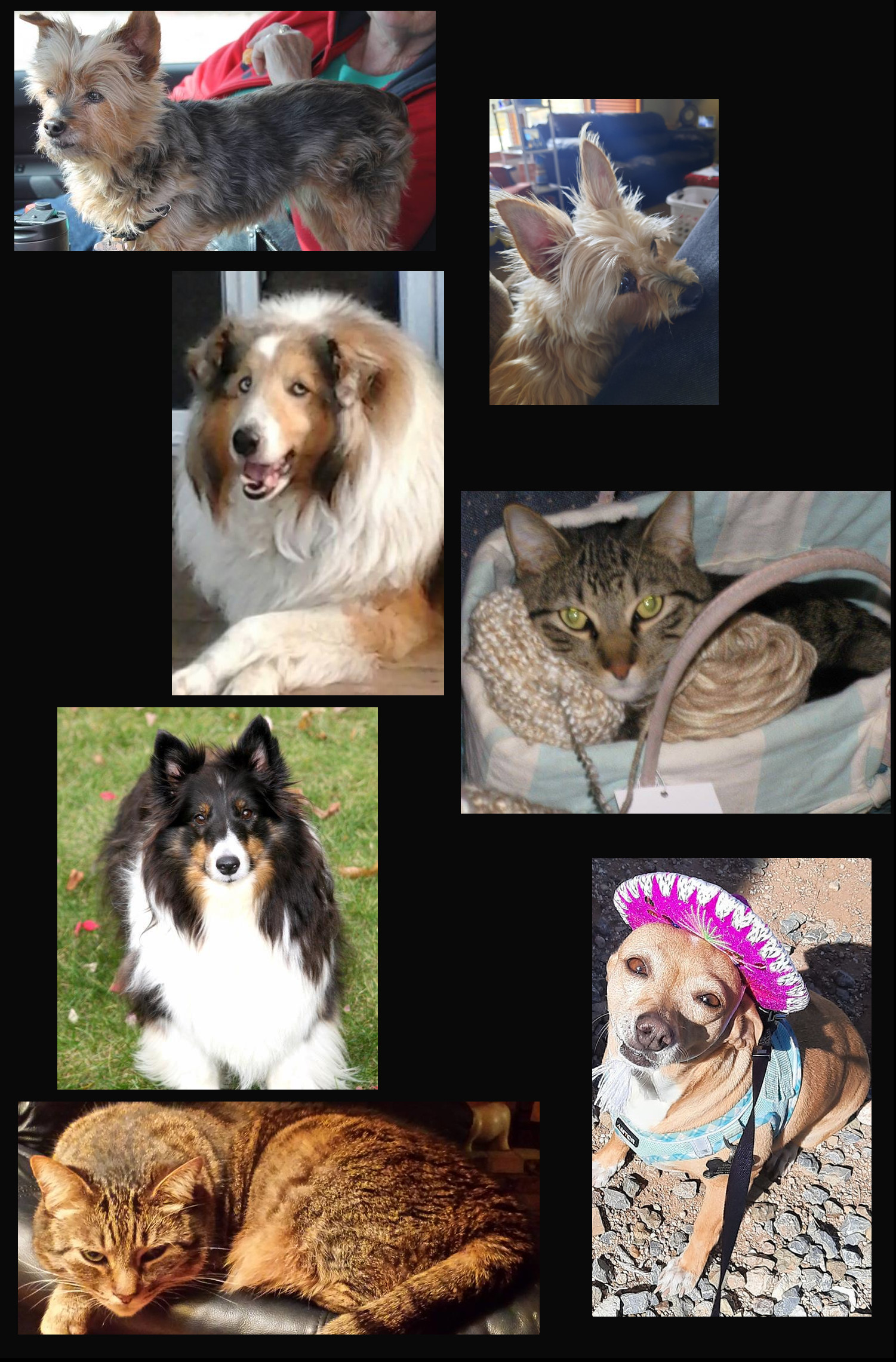 The Crew